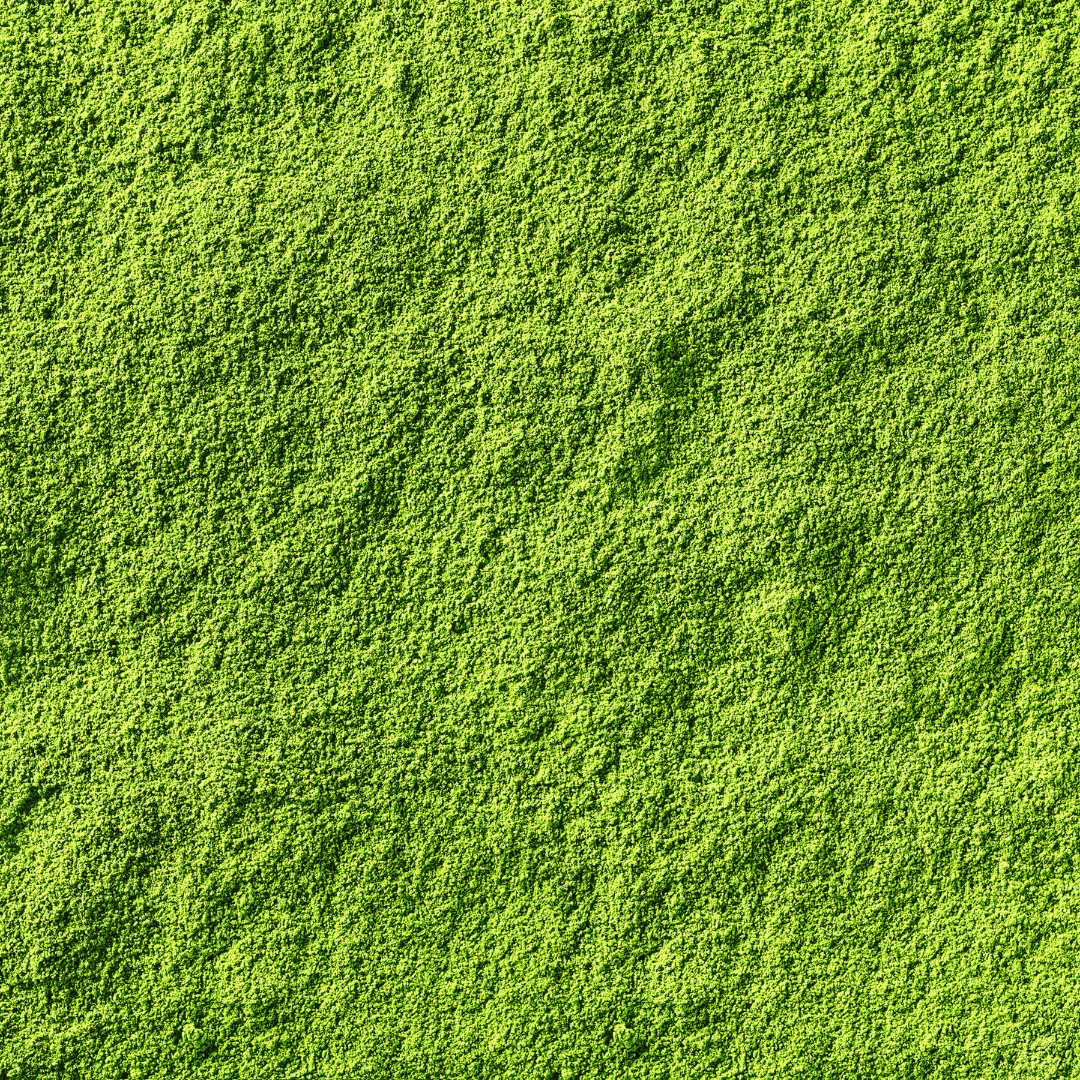 All you need to know about: our matcha powder